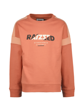 Raizzed Jongens Sweater Jamison