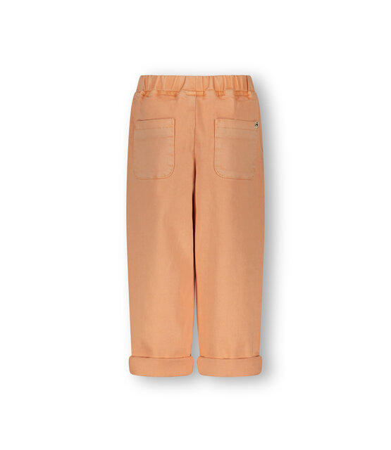 The New Chapter Unisex Broek Atlas