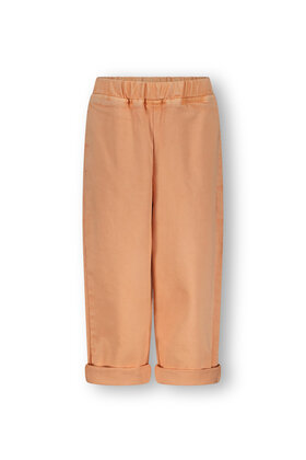 The New Chapter Unisex Broek Atlas