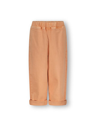 The New Chapter Unisex Broek Atlas