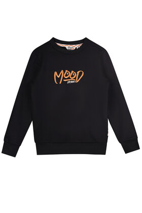 Moodstreet Jongens Sweater Sev
