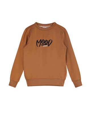 Moodstreet Jongens Sweater Sev