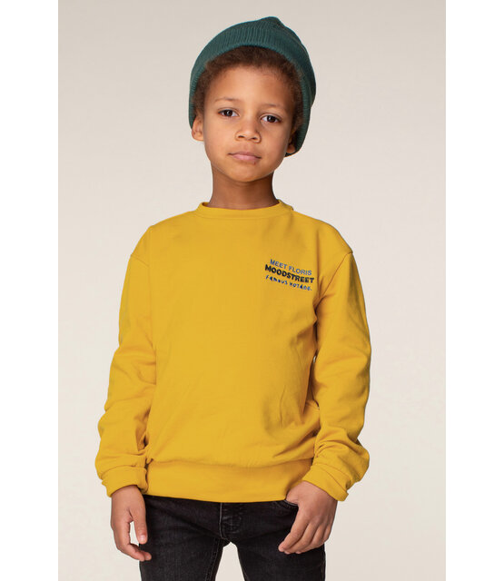 Moodstreet Jongens Sweater Simon Moodstreet Jongens Sweater Simon