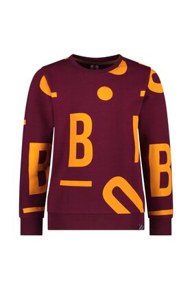 B Nosy Jongens Sweater Scott