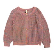 The New Chapter Unisex Vest