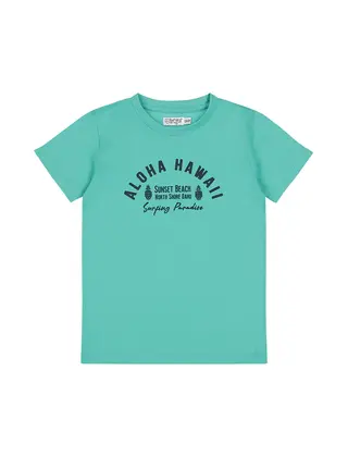 Dirkje Jongens T-Shirt