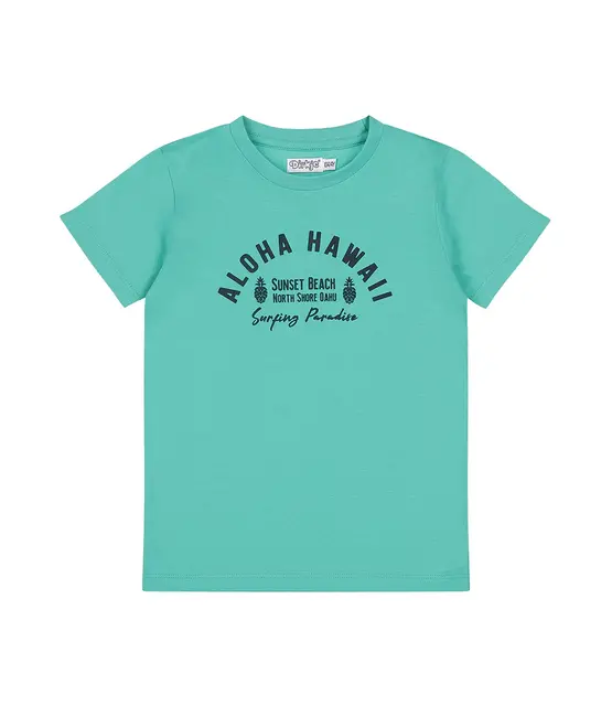 Dirkje Jongens T-Shirt