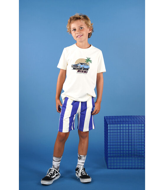 Moodstreet Jongens T-Shirt LEWIS