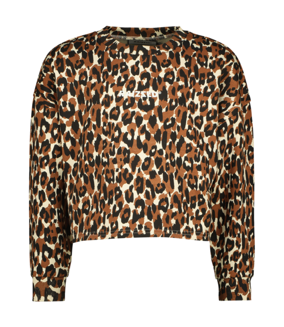 Raizzed Meisjes Sweater Hanna