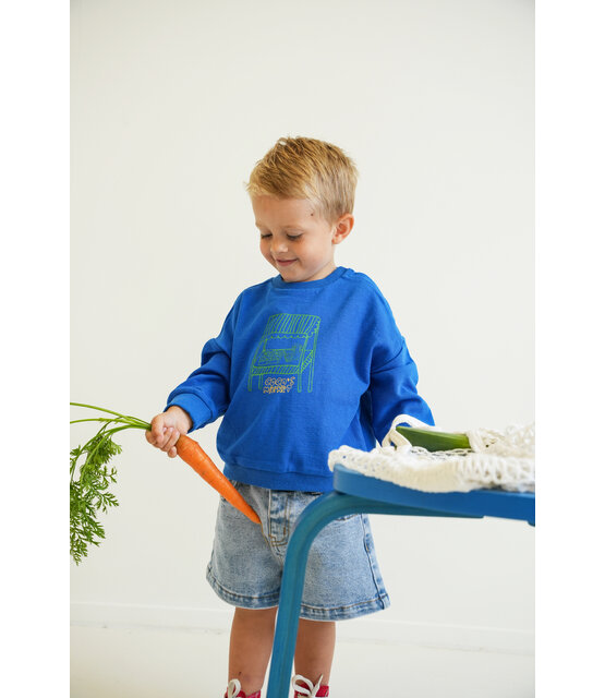 The New Chapter Sweater Benja