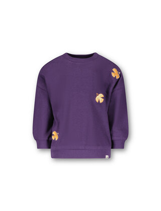 The New Chapter Sweater Benja