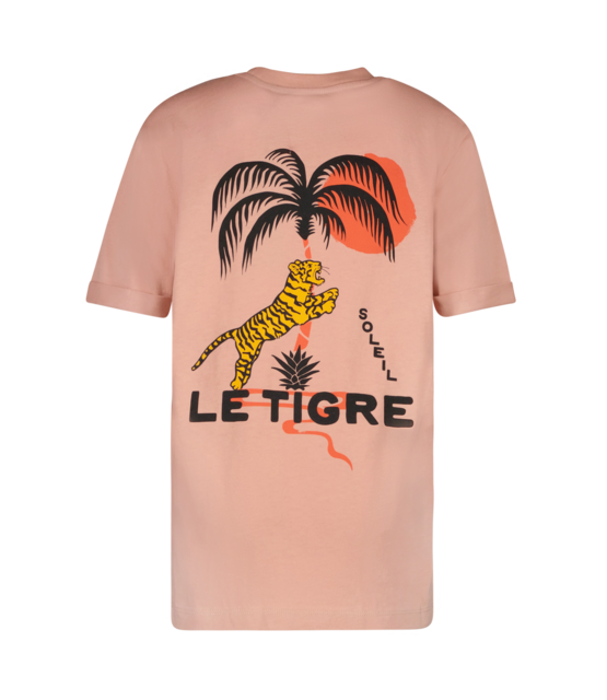 Cars Jeans Jongens T-Shirt DRAYCO