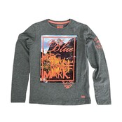 Cars Jeans Jongens Longsleeve LAKE Cars Jeans Jongens Longsleeve LAKE