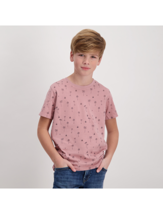 Cars Jeans Jongens T-Shirt PYRLO