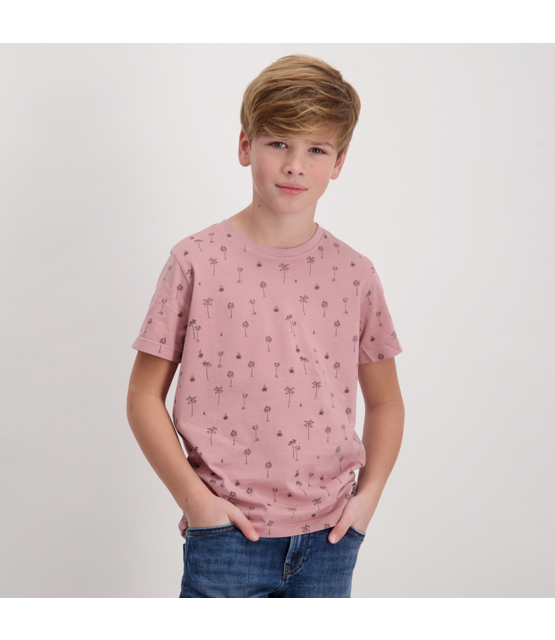 Cars Jeans Jongens T-Shirt PYRLO