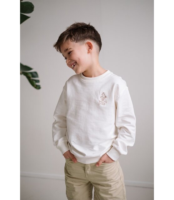 Like Flo Jongens Sweater DAILY