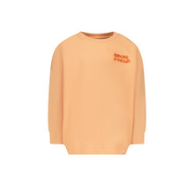 The New Chapter Sweater Billie