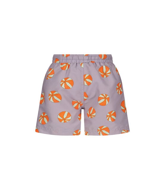 The New Chapter Vic Zwembroek