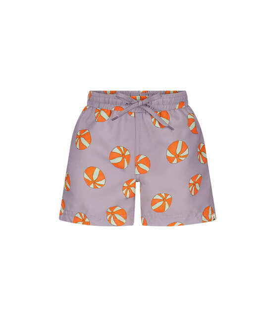 The New Chapter Vic Zwembroek