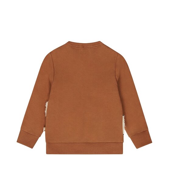 Dirkje Jongens Sweater