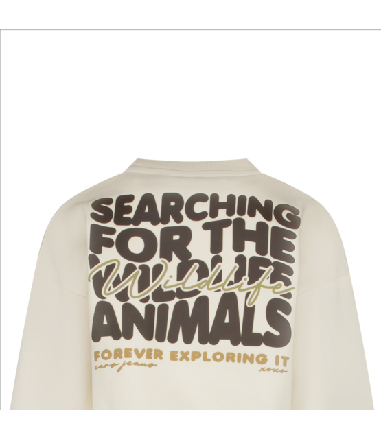 Cars Jeans Meisjes Sweater ZEZZY