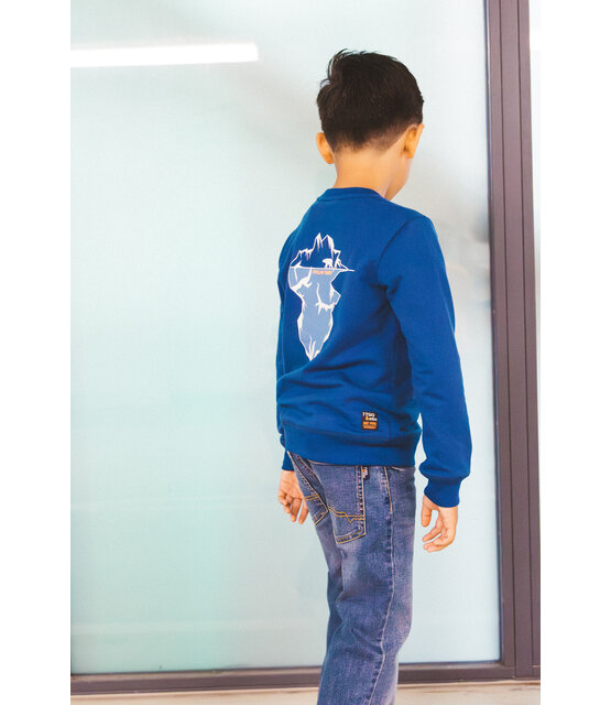 Tygo&Vito Jongens Sweater Silver