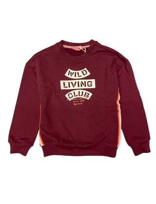 TYGO&vito Meisjes Sweater