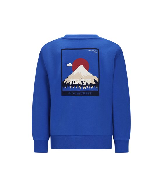 Moodstreet Jongens Sweater SIMON