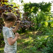 Koko Noko Jongens T-Shirt