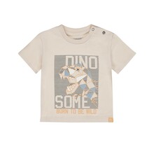 Dirkje Jongens T-Shirt