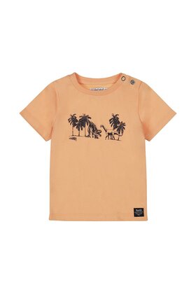 Dirkje Jongens T-Shirt
