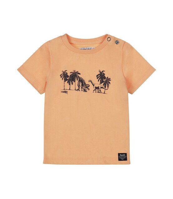 Dirkje Jongens T-Shirt