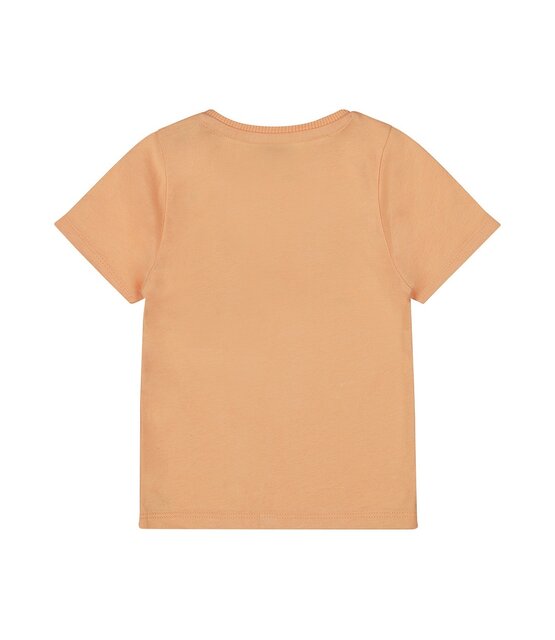 Dirkje Jongens T-Shirt