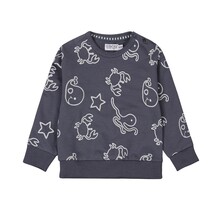 Dirkje Jongens Sweater