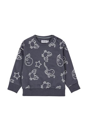 Dirkje Jongens Sweater