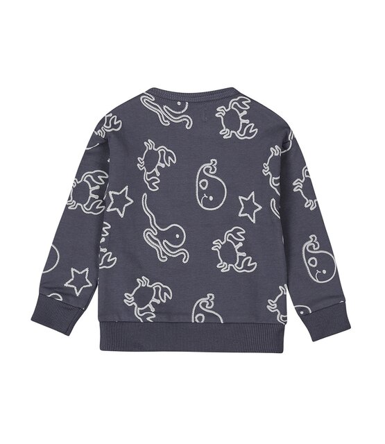 Dirkje Jongens Sweater