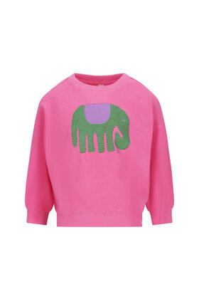 The New Chapter Meisjes Sweater Bo