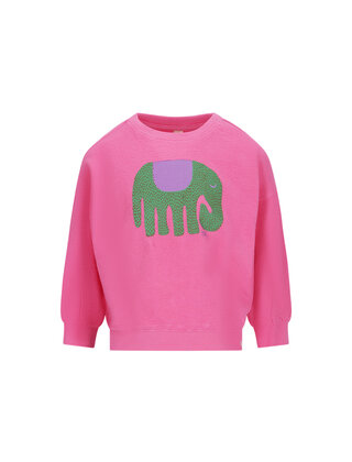 The New Chapter Meisjes Sweater Bo