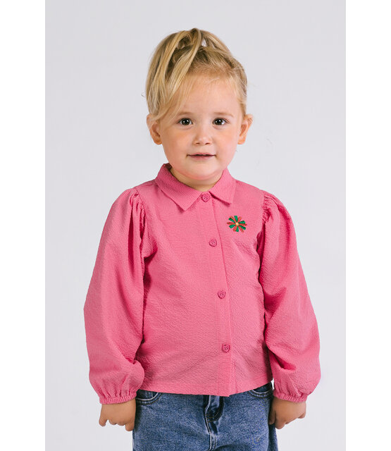 The New Chapter Blouse Navé