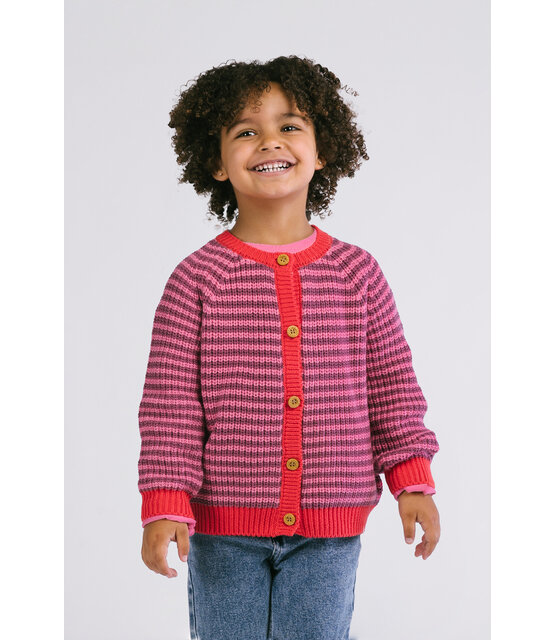 The New Chapter Vest Miles