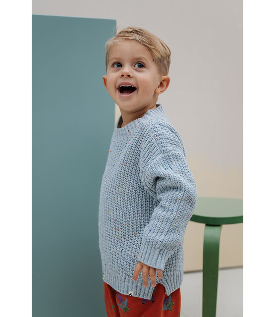 The New Chapter Sweater Jamie