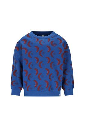 The New Chapter Sweater Bobbie