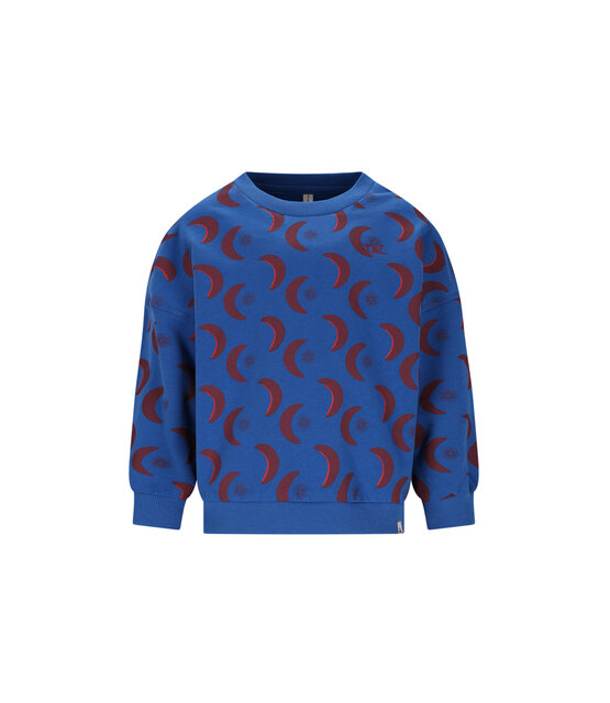 The New Chapter Sweater Bobbie