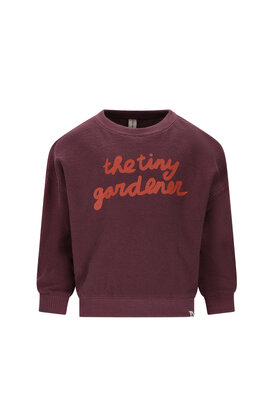 The New Chapter Sweater Bo