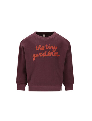 The New Chapter Sweater Bo