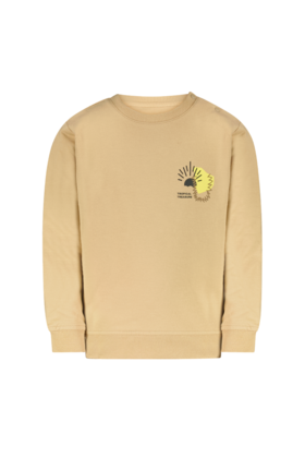 Cars Jeans Jongens Sweater YILO