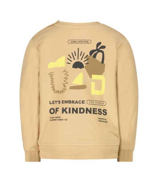 Cars Jeans Jongens Sweater YILO