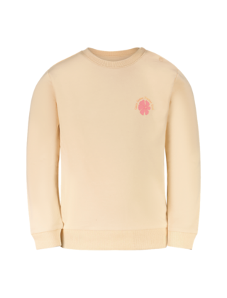 Cars Jeans Meisjes Sweater MAYRA