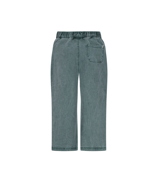 The New Chapter Broek Atlas