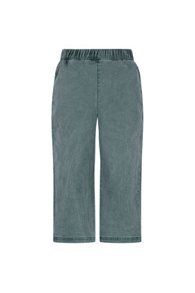The New Chapter Broek Atlas